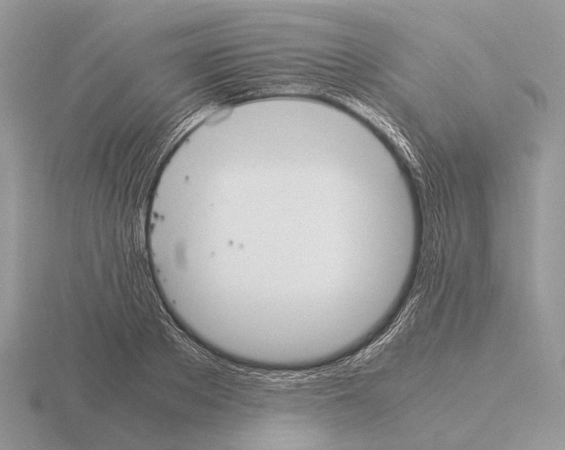 X0000115350889200912151334