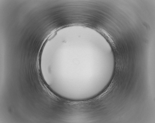 X0000115350892200912151333