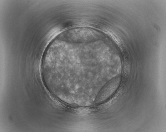 X0000115350893200912151333