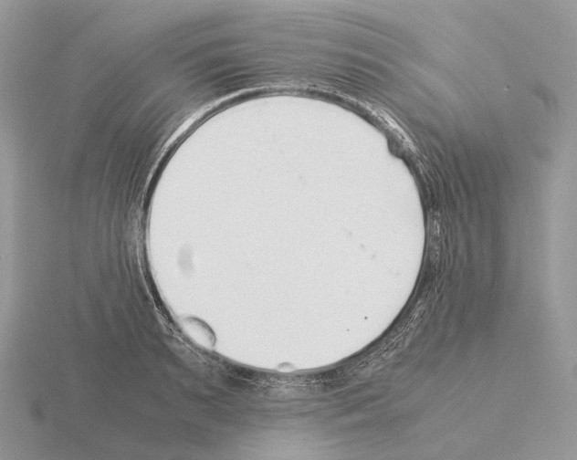 X0000115350895200912151333