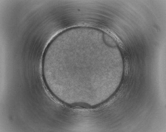 X0000115350896200912151333