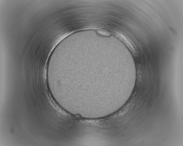 X0000115350900200912151333