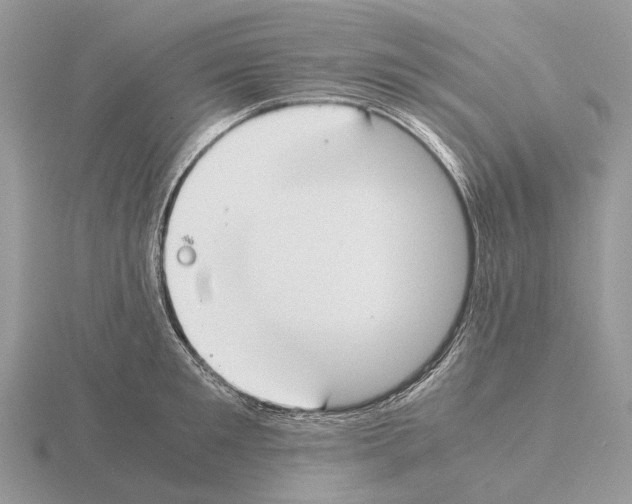 X0000115350901200912151333