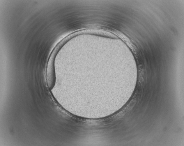 X0000115350904200912151333