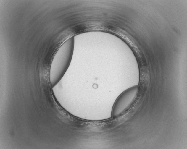 X0000115350905200912151333