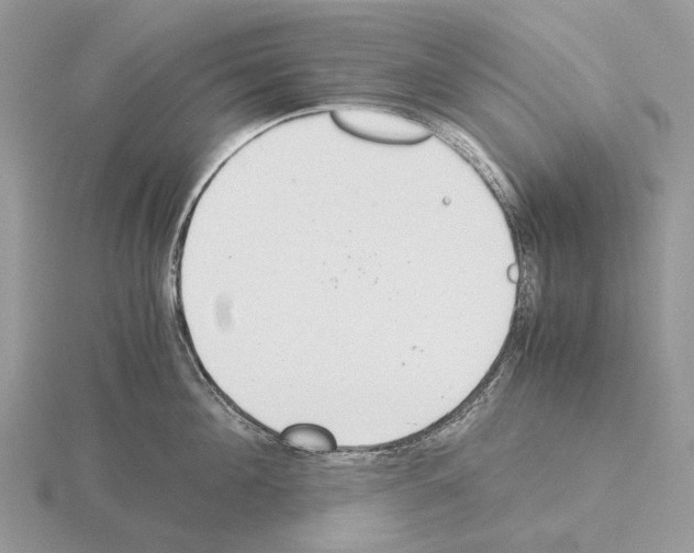 X0000115350908200912151333