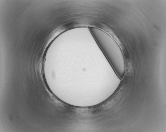 X0000115350909200912151333