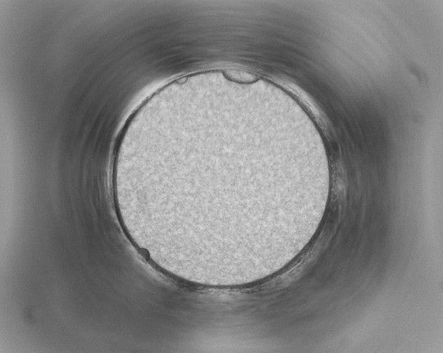 X0000115350910200912151333