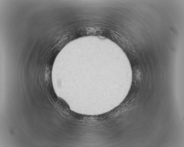 X0000115350914200912151333