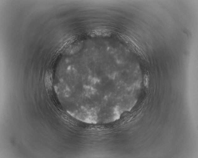 X0000115350915200912151333