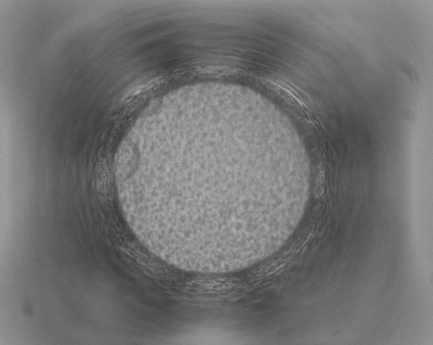 X0000115350917200912151333