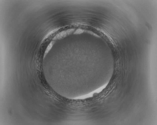 X0000115350919200912151333