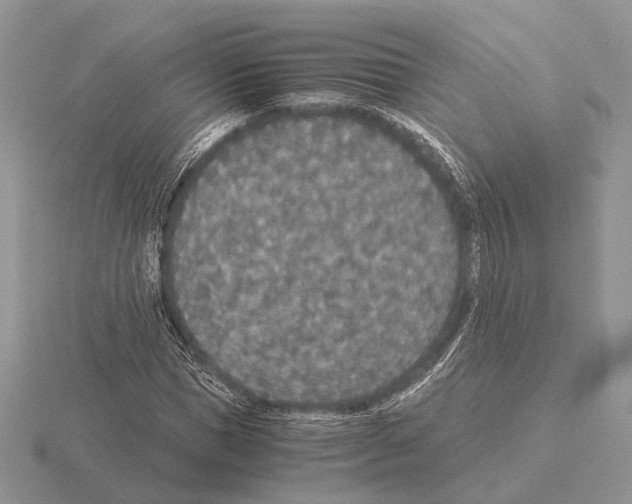 X0000115350921200912151333