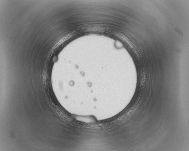 X0000115350922200912151333