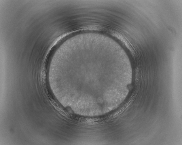 X0000115350923200912151333