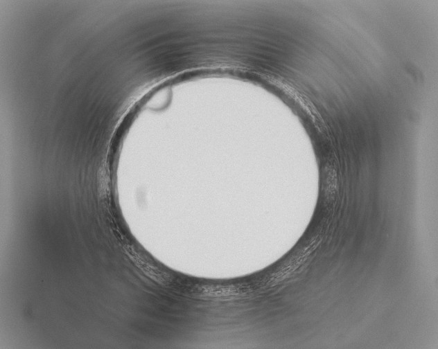 X0000115350927200912151333