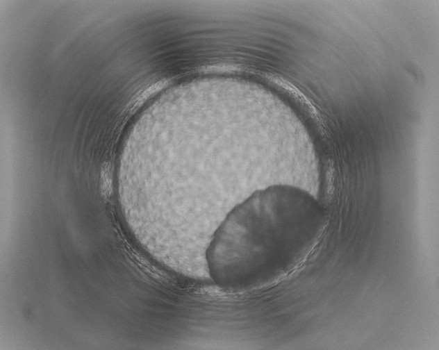 X0000115350929200912151333