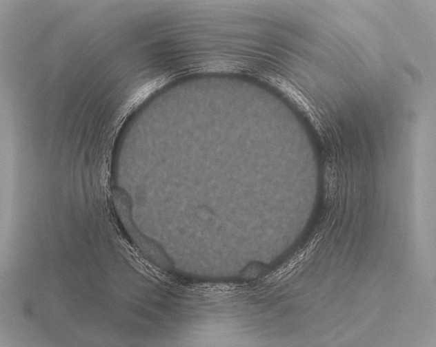 X0000115350930200912151333