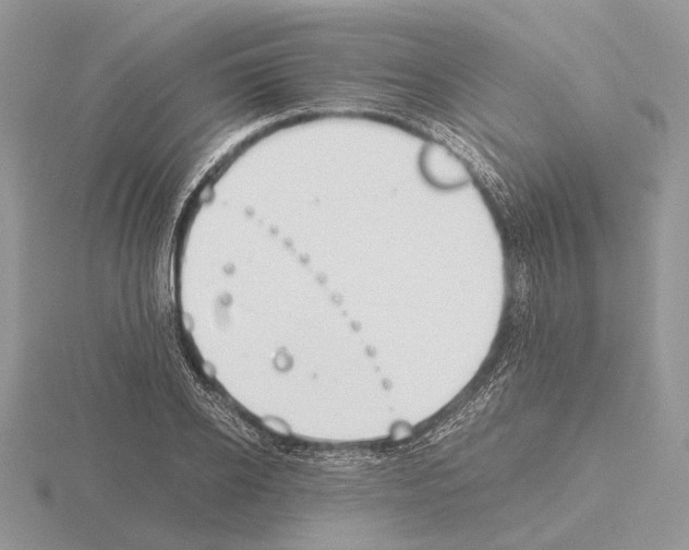 X0000115350934200912151333