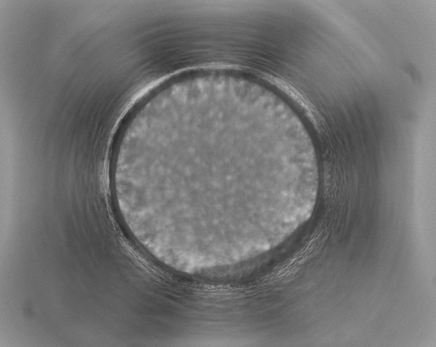 X0000115350935200912151333