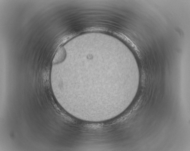 X0000115350937200912151333