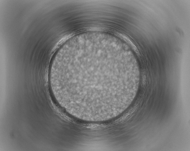 X0000115350938200912151333