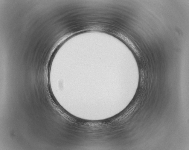 X0000115350939200912151333