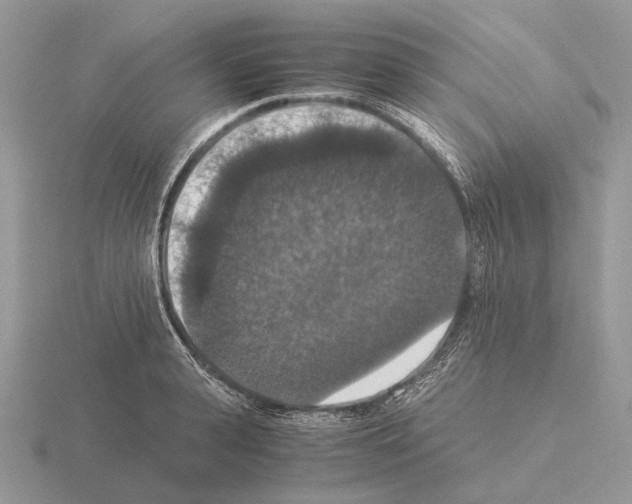 X0000115350943200912151333