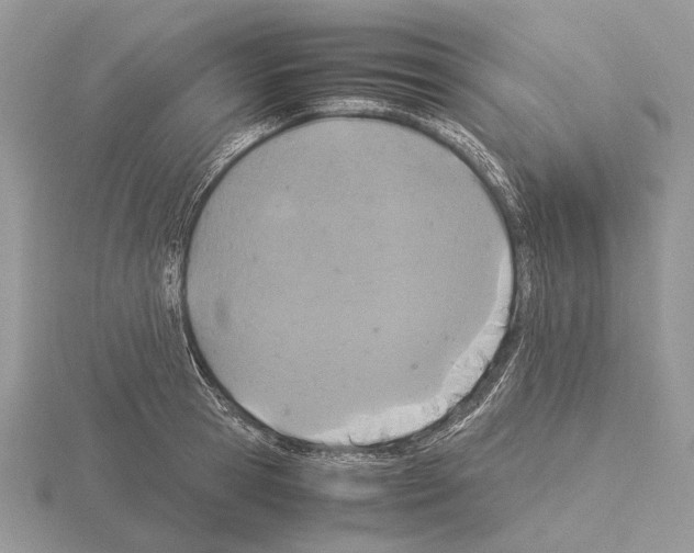 X0000115350945200912151333