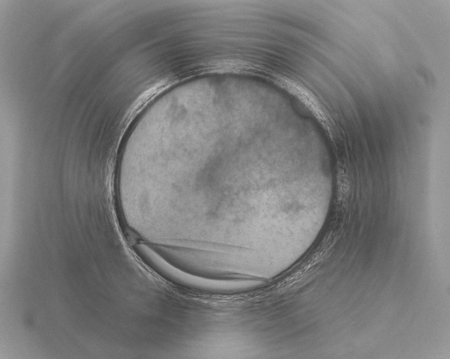 X0000115350946200912151333