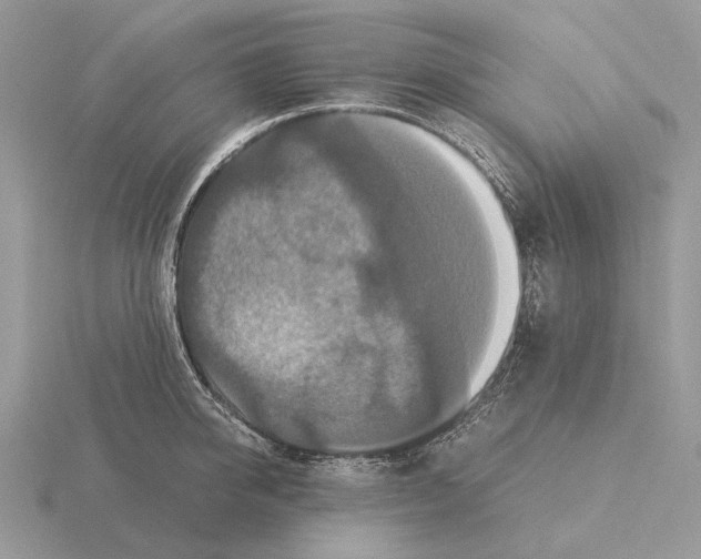 X0000115350950200912151333