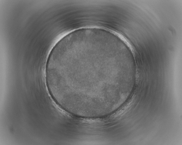 X0000115350951200912151333