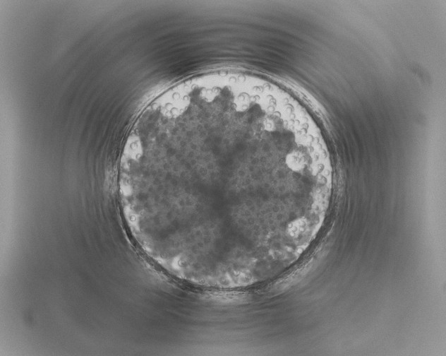 X0000115350953200912151333