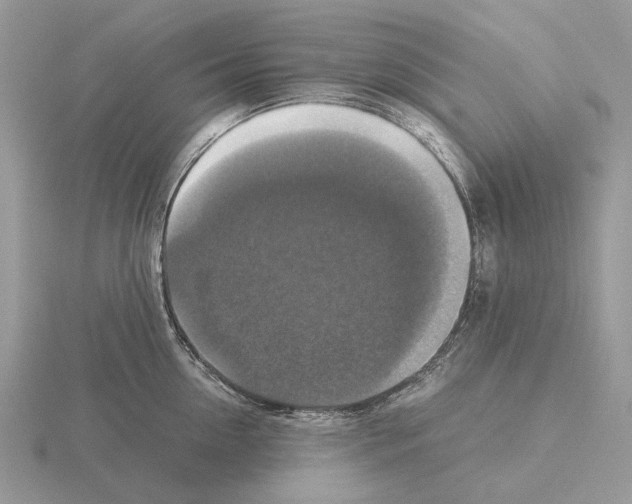 X0000115350954200912151333