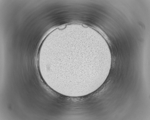 X0000115350955200912151333