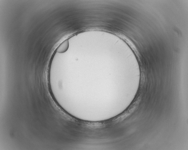 X0000115350957200912151333