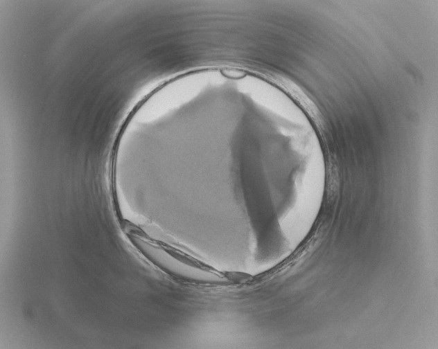 X0000115350958200912151333