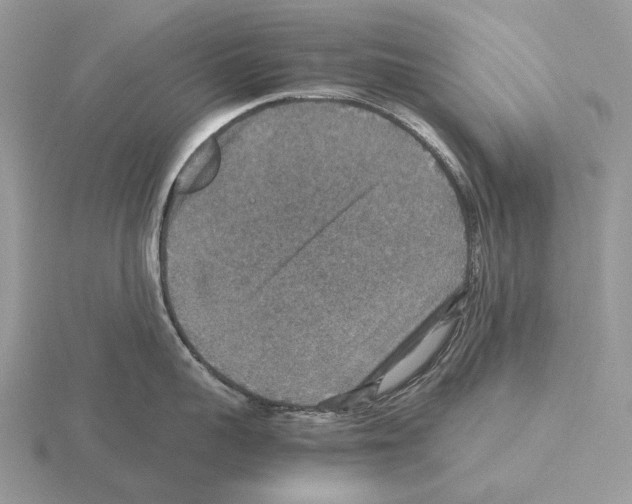 X0000115350959200912151333