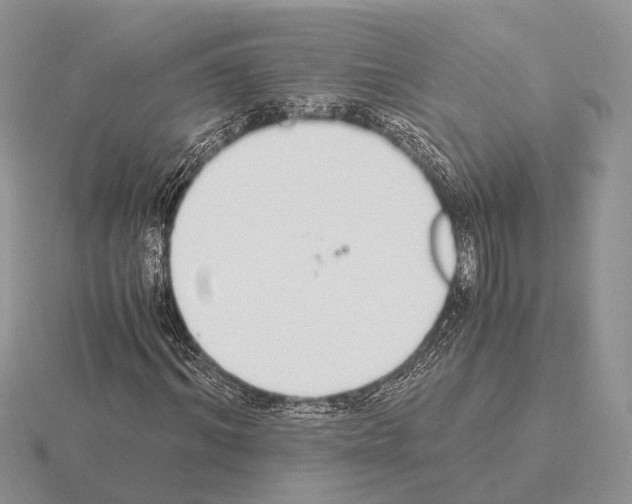 X0000115350964200912151333