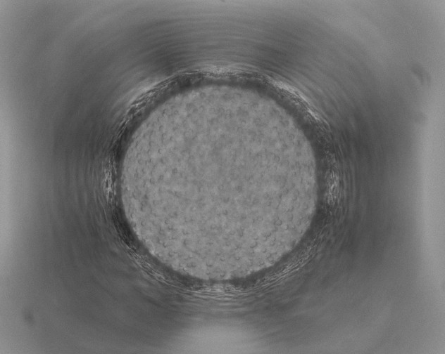 X0000115350966200912151333