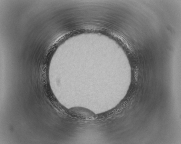 X0000115350968200912151333