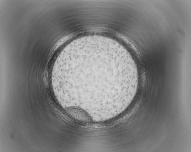 X0000115350970200912151332