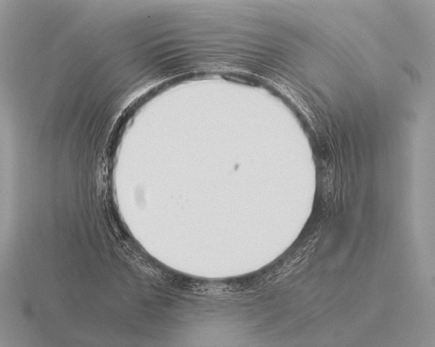 X0000115350971200912151332