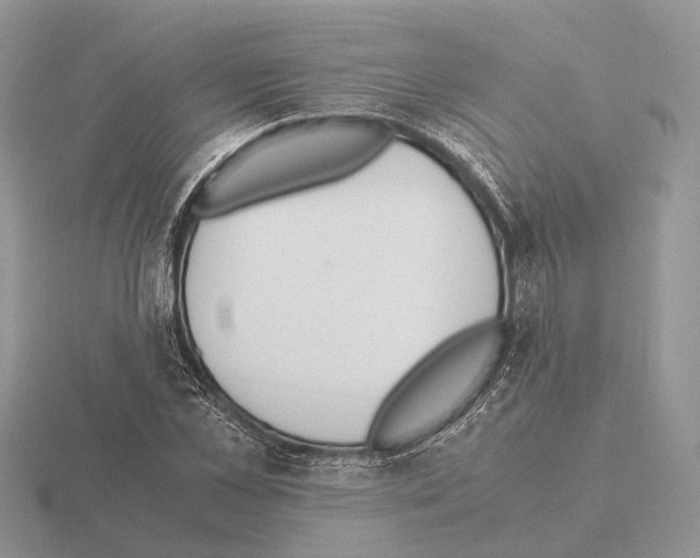 X0000115350973200912151332