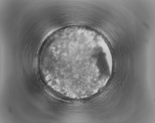 X0000115350975200912151332