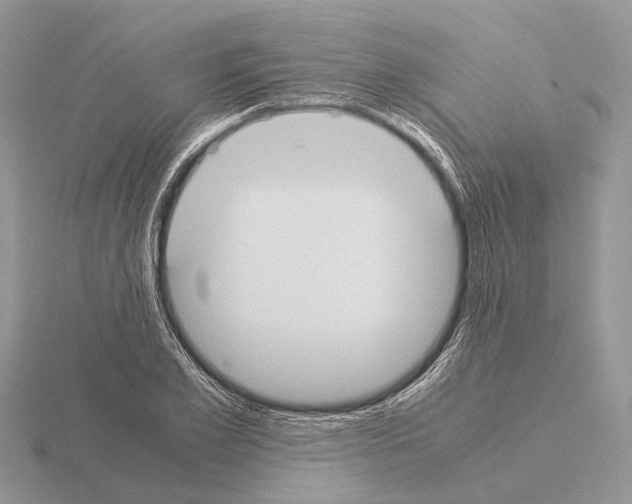 X0000115350981200912151332