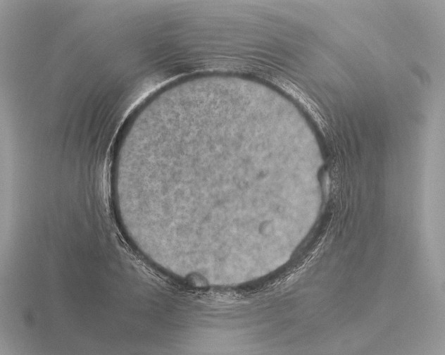 X0000115350983200912151332