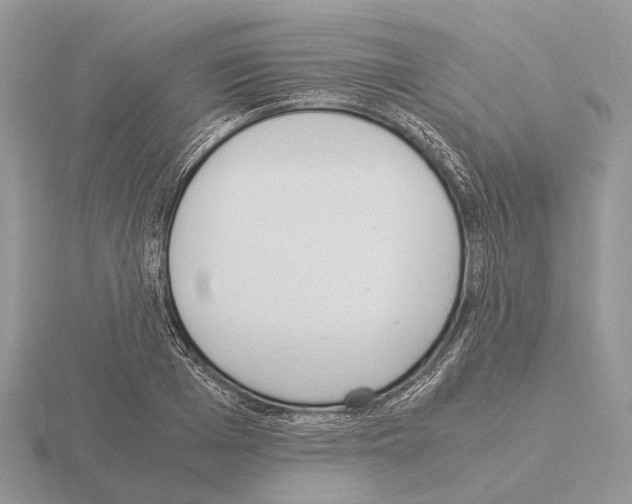 X0000115350985200912151332