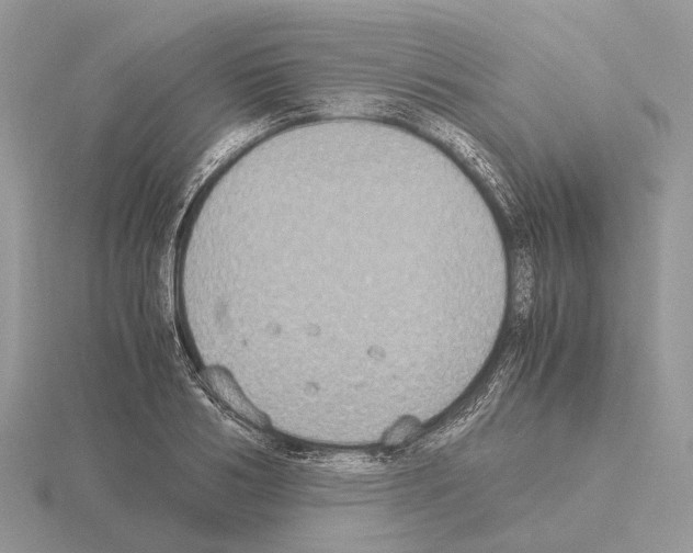 X0000115350986200912151332