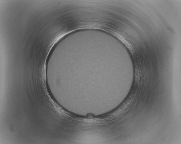 X0000115350988200912151332